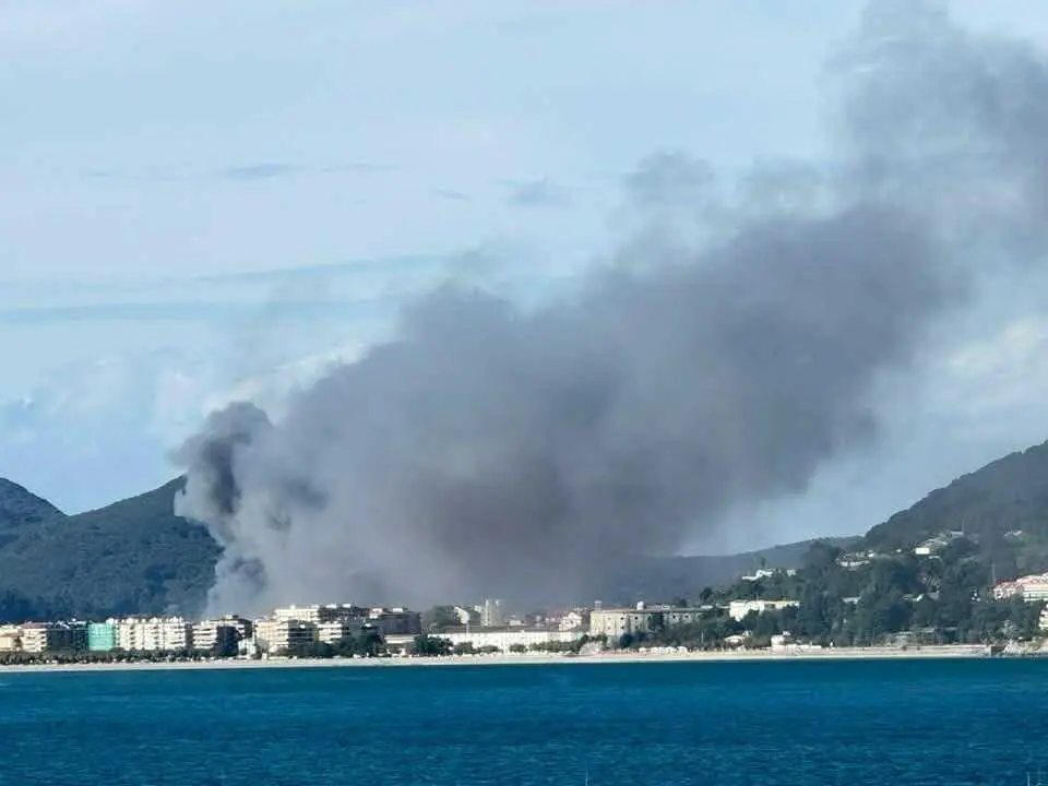 Un incendio se declar&oacute; en la nave de Conservas Crespo en Santo&ntilde;a. / Alerta
