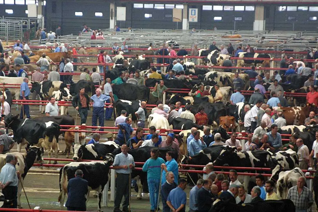 Varias personas en el Mercado Ganado de Torrelavega. / A.E