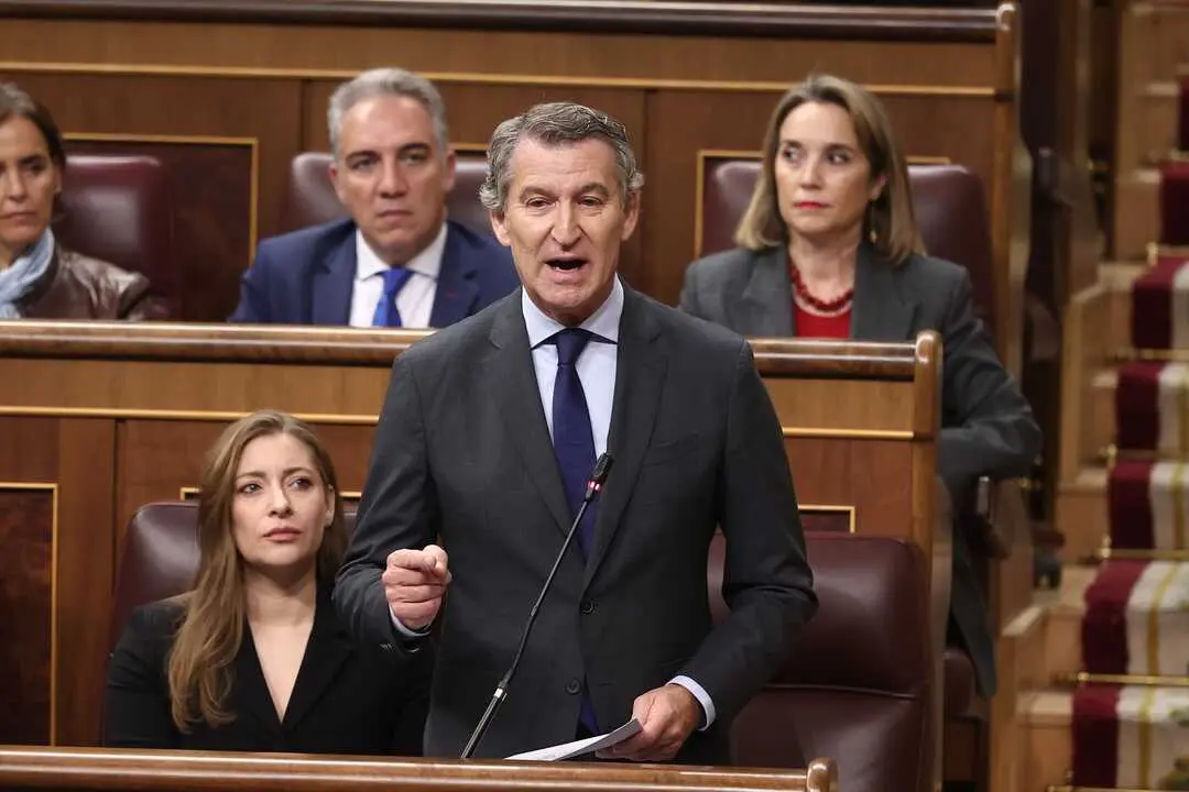 El presidente del PP, Alberto N&uacute;&ntilde;ez Feijo y la portavoz del grupo popular en el Congreso, Ester Mu&ntilde;oz, durante una sesi&oacute;n de control, en el Congreso de los Diputados. / Eduardo Parra