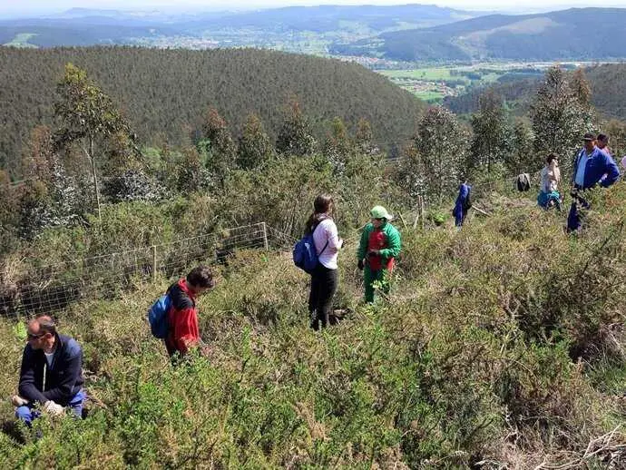 Si te apasiona el aire libre, no puedes perderte estas rutas de senderismo cerca de Torrelavega. / EP