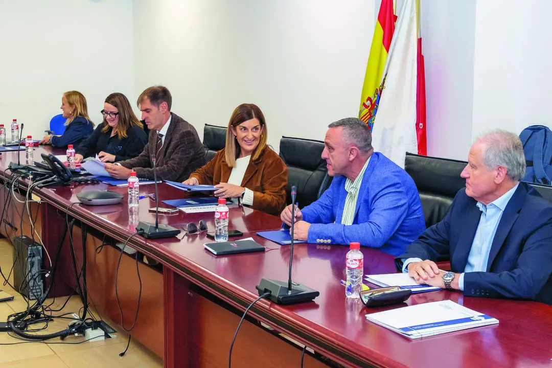 La presidenta de Cantabria, Mar&iacute;a Jos&eacute; S&aacute;enz de Buruaga, durante la reuni&oacute;n del Consejo del Di&aacute;logo Social celebrada ayer en Santander. / Alerta