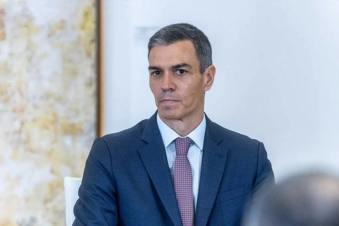 El presidente del Gobierno, Pedro S&aacute;nchez. / Ananda Manj&oacute;n