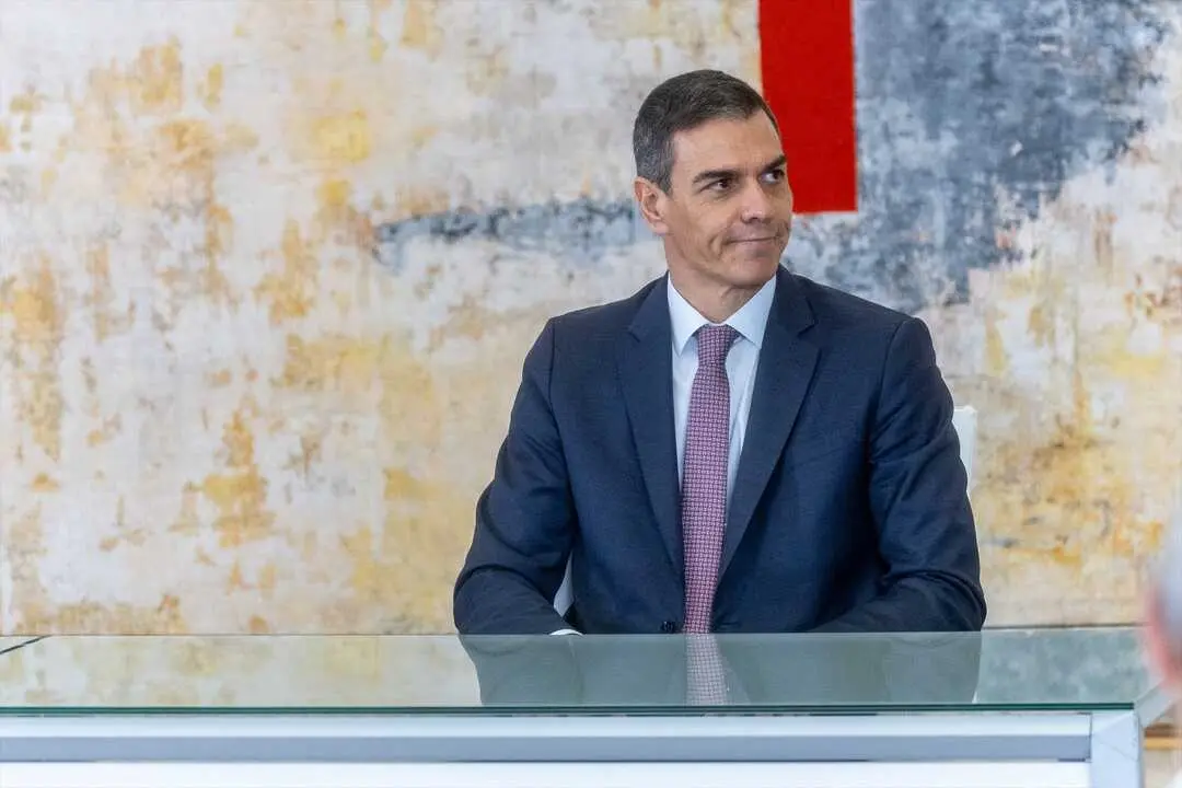 El presidente del Gobierno, Pedro S&aacute;nchez. / Ananda Manj&oacute;n