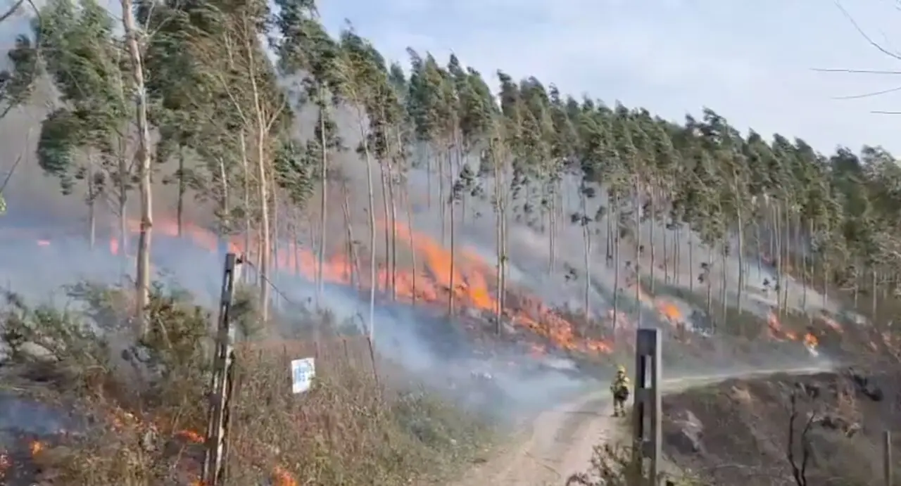 Los bomberos sofocan uno de los fuegos que afectaron a la regi&oacute;n. / 112