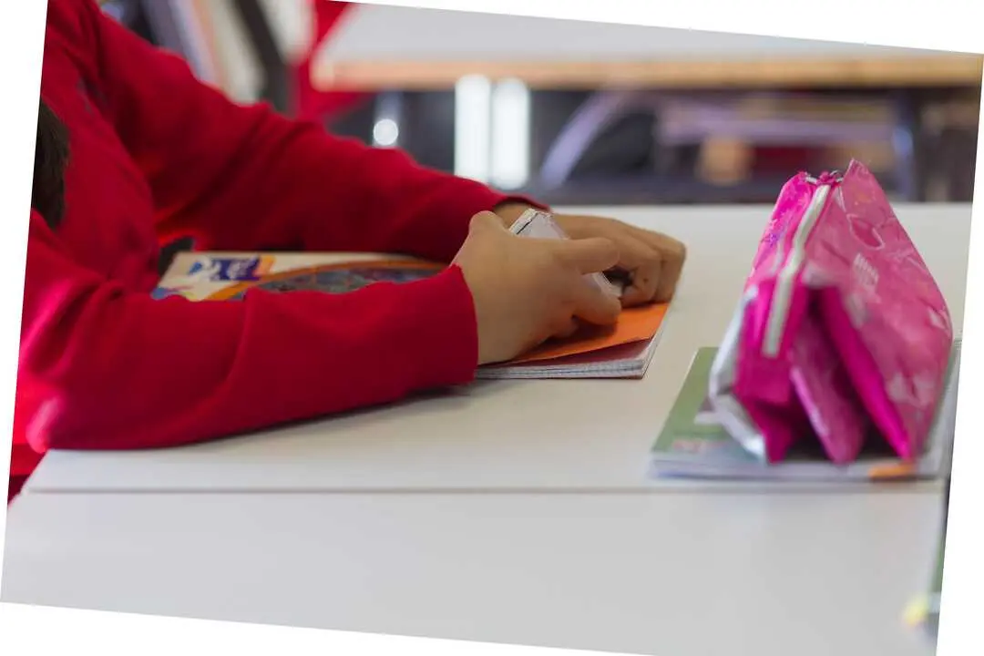 Un ni&ntilde;o en clase. / EP