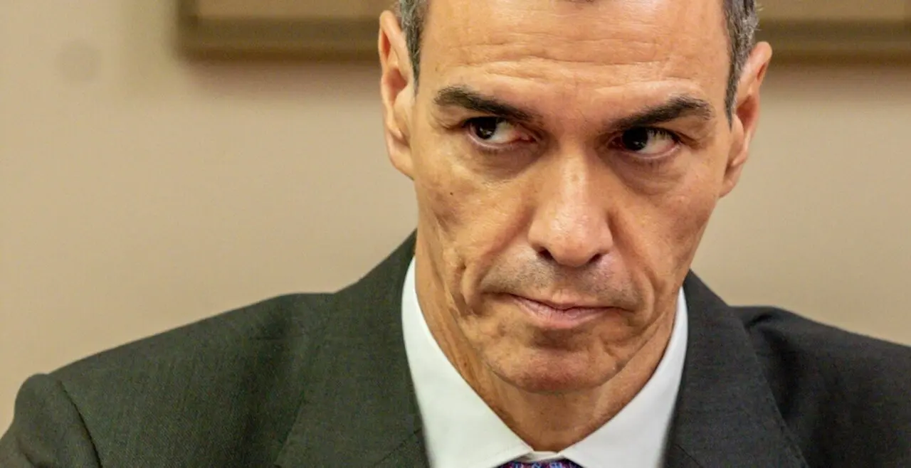 Pedro S&aacute;nchez.