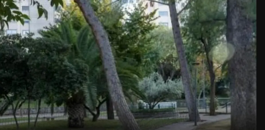 Sharif, de 16 a&ntilde;os, y Rosmed, de 15 a&ntilde;os: las menores que se han suicidado en Ja&eacute;n.
