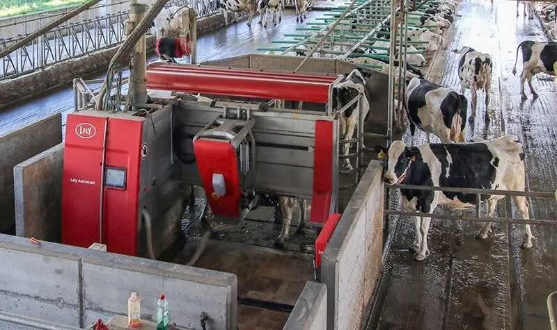 El Gobierno regional autoriza casi 7,2 millones para el Programa de Sanidad Integral y Control de Explotaciones Ganaderas. / Alerta