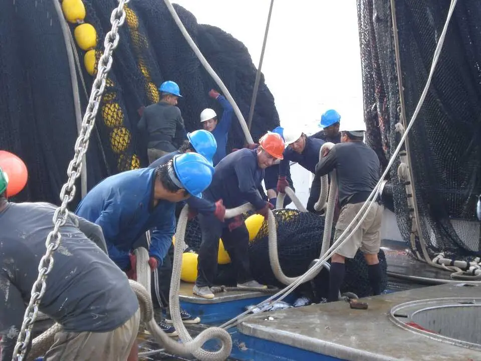 Pescadores de un atunero. / OPAGAC