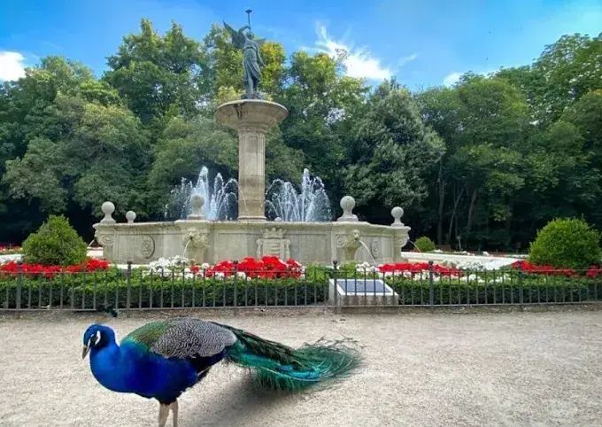 Uno de los rincones del parque de Valladolid. / A.E