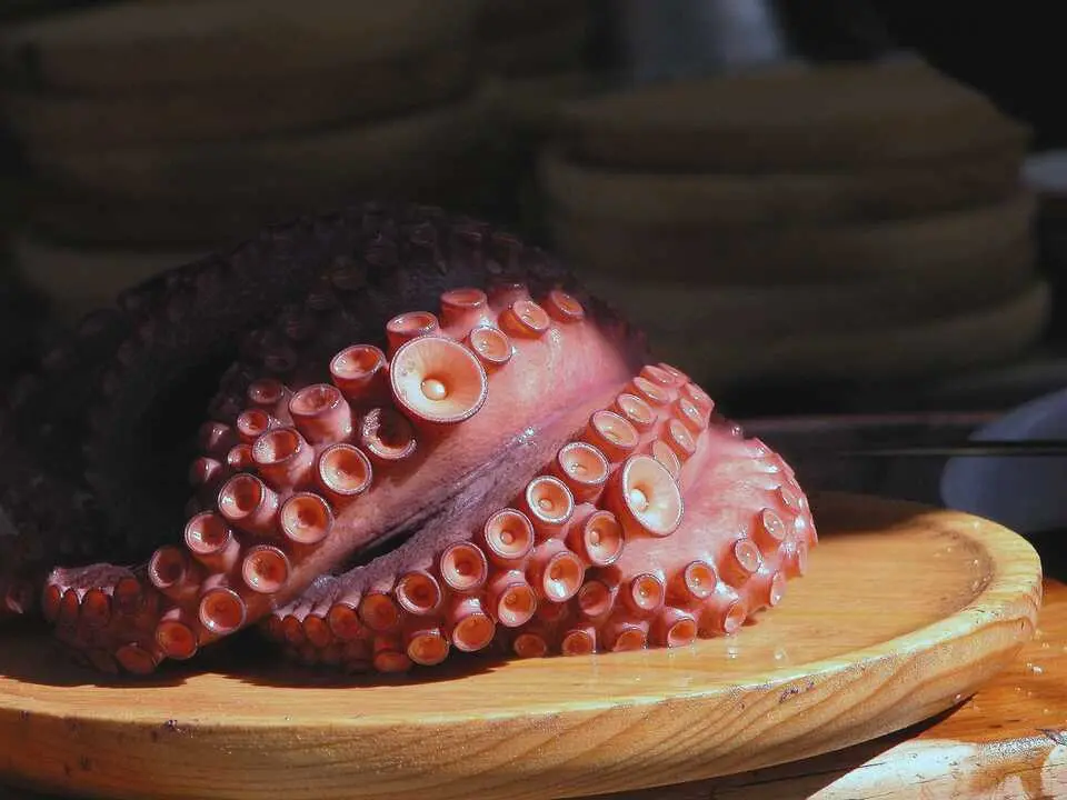 El secreto para cocer pulpo tierno est&aacute; en congelarlo previamente, cocinarlo en agua hirviendo y dejar reposar despu&eacute;s de cocerlo. / EP