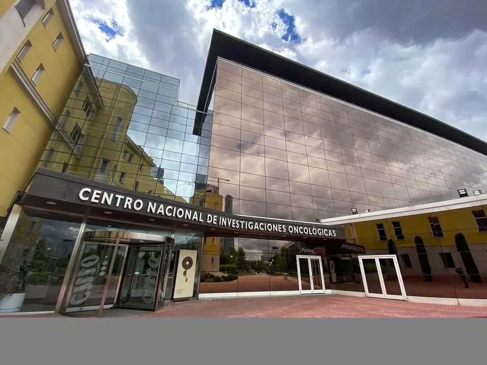 ESede del Centro Nacional de Investigaciones Oncol&oacute;gicas (CNIO. / EP / Archivo