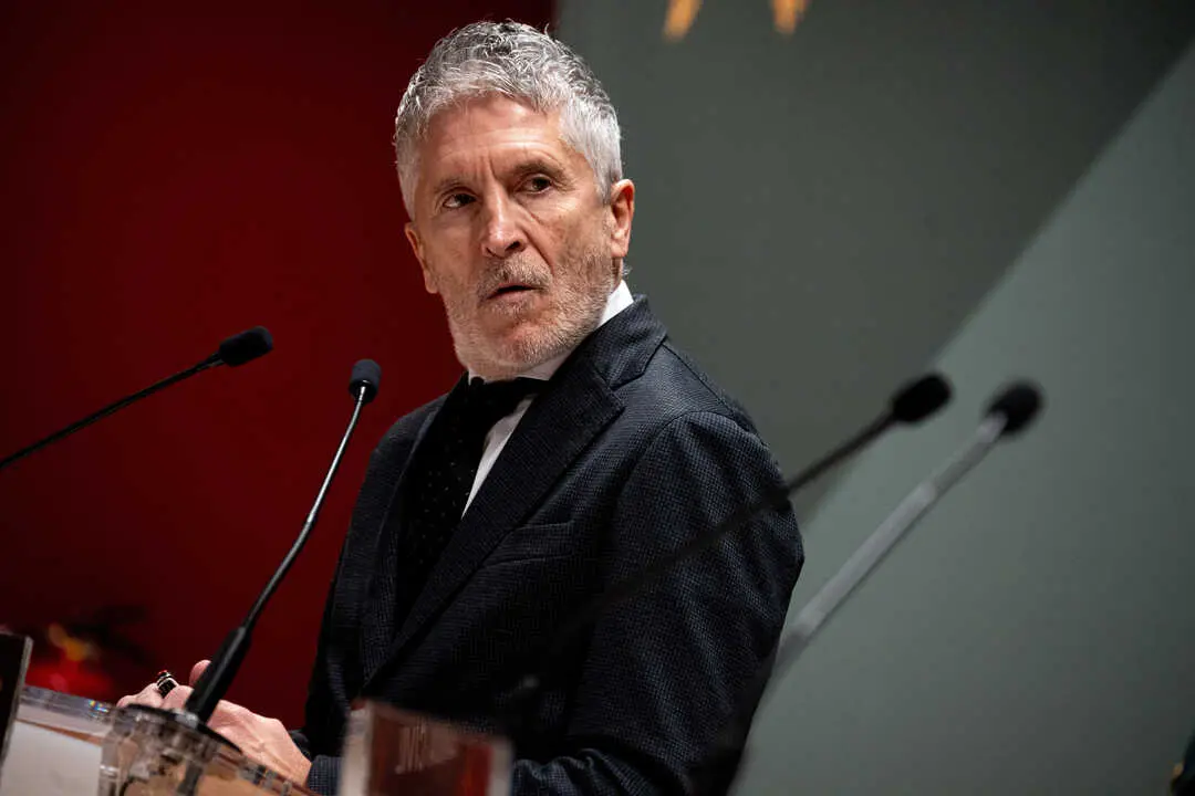 El ministro del Interior, Fernando Grande-Marlaska. / EP