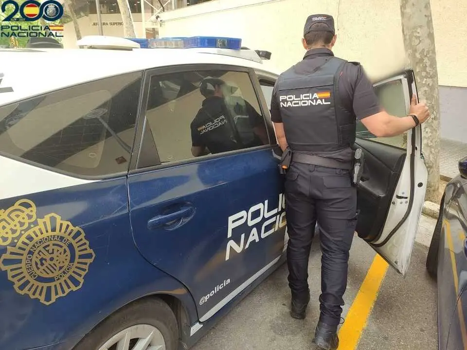 Un agente de la Polic&iacute;a Nacional, de espaldas. / EP