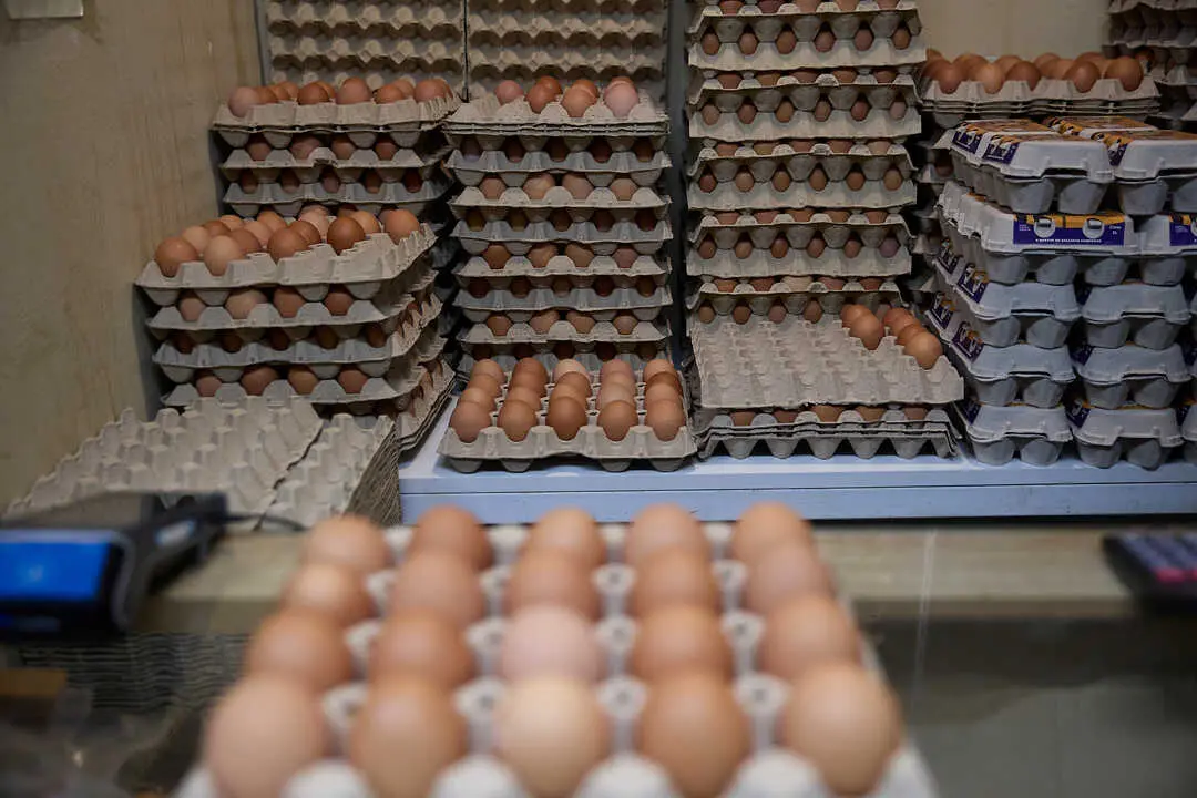 Huevos en una tienda. / ep