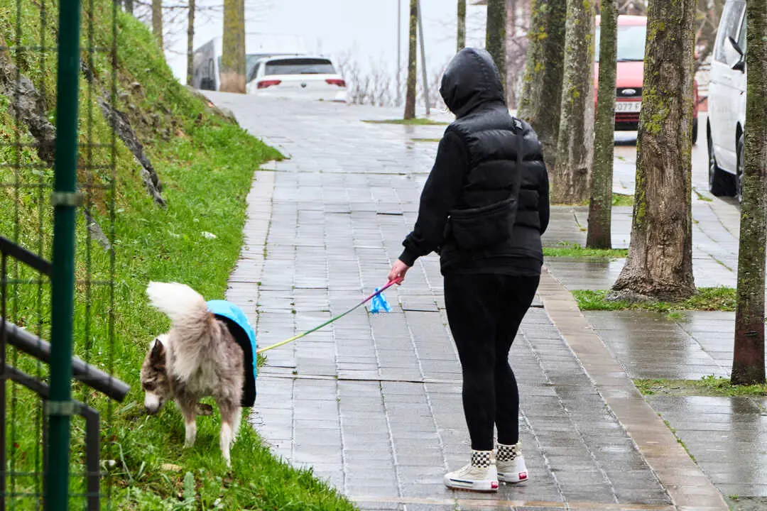 Una persona pasea un perro un d&iacute;a de temporal. / EP