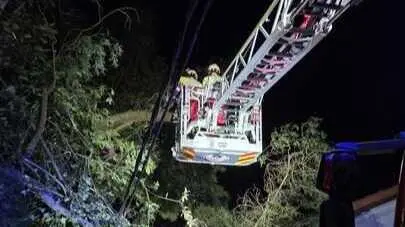 Los Bomberos del Gobierno de Cantabria retiran el &aacute;rbol tirado por el viento en San Miguel de Meruelo. / 112