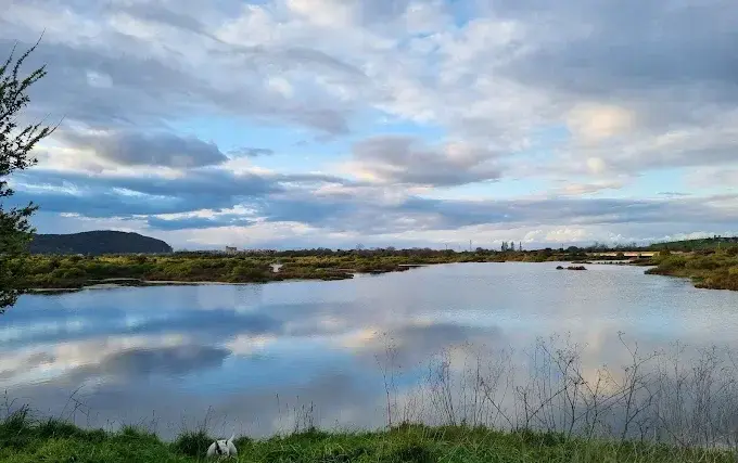 A menos de una hora de Bilbao y a solo 35 minutos de Santander, este enclave natural ofrece una experiencia &uacute;nica para quienes buscan desconectar del turismo masivo. / A.E