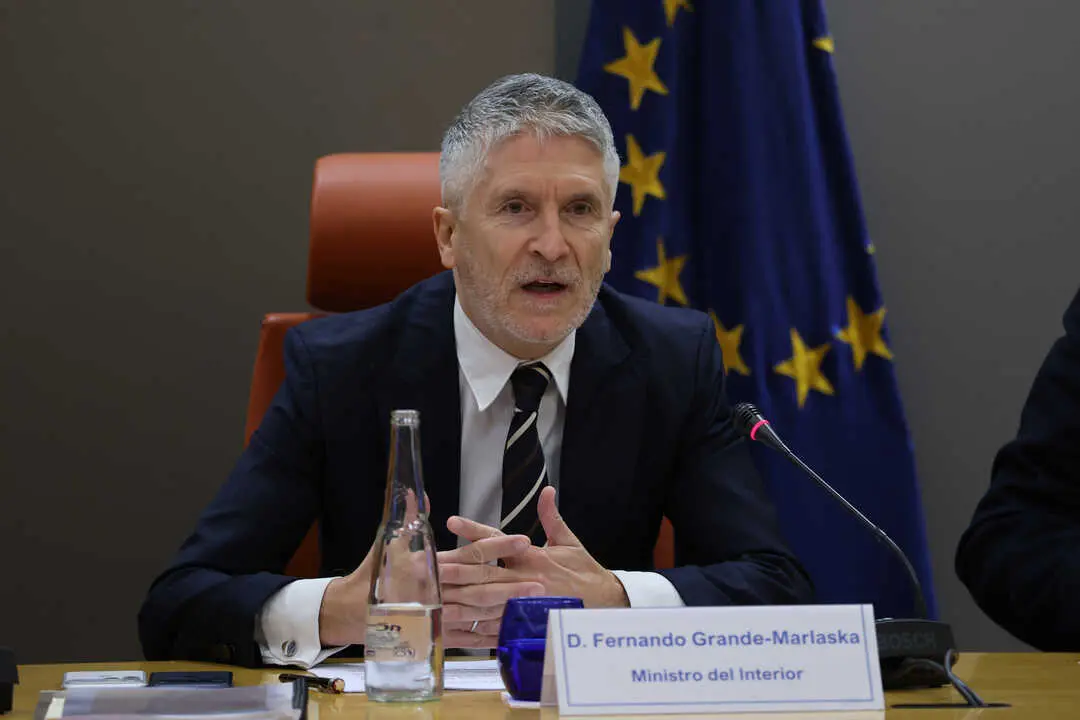 El ministro del Interior, Fernando Grande-Marlaska. / EP