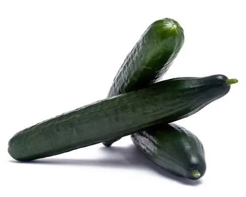 Un preparado de pepino y agua se plantea como repelente natural frente a cucarachas en verano. / EP