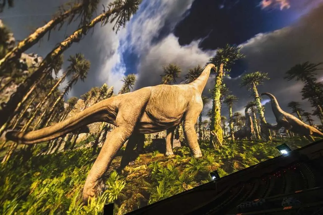 Descubren en Guadalajara huevos de titanosaurio de 72 millones de a&ntilde;os con posible coexistencia de especies. / EP