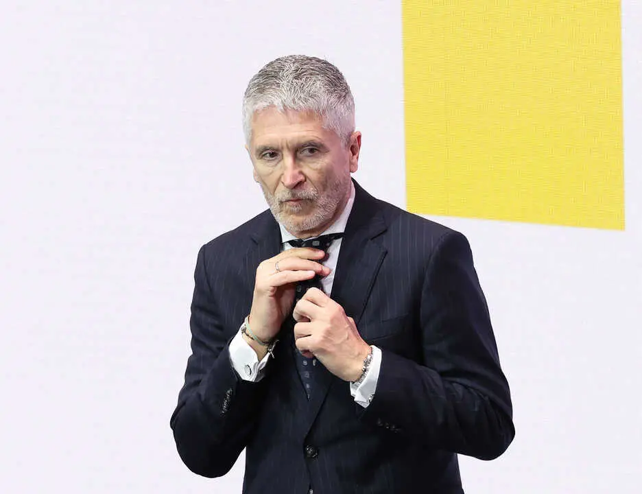 El ministro del interior, Fernando Grande-Marlaska. / EP