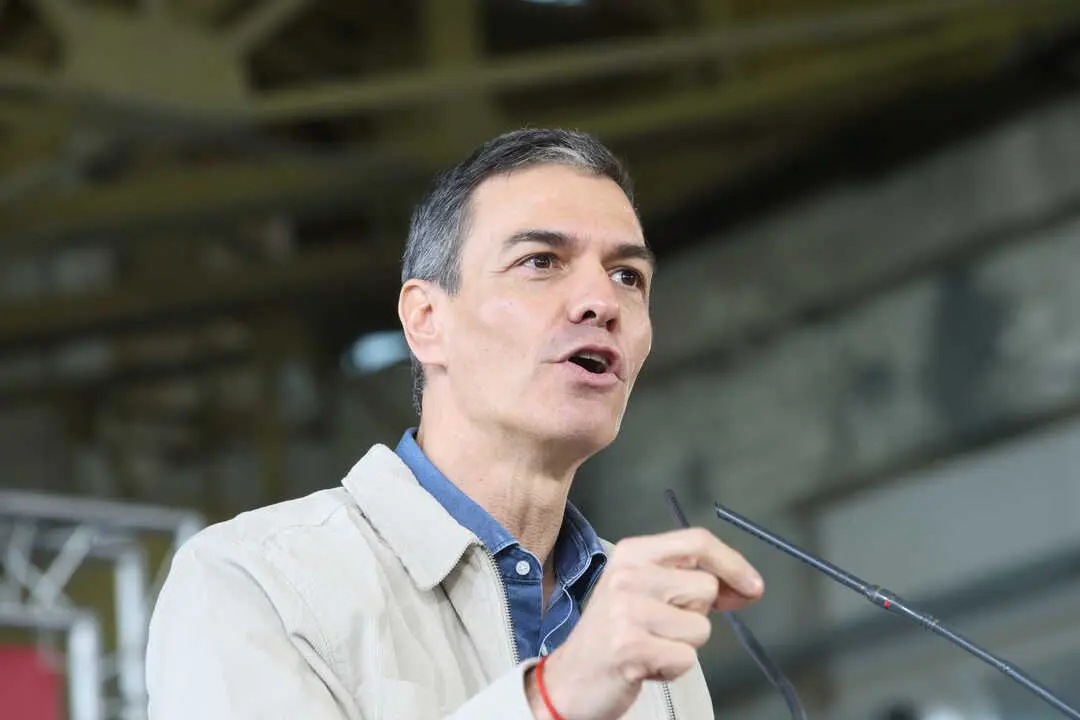 El secretario general del PSOE y presidente del Gobierno de Espa&ntilde;a, Pedro S&aacute;nchez. / EP