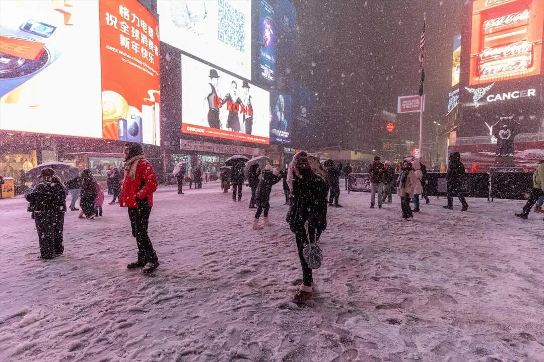 Nieve cayendo sobre Times Square en Nueva York, mientras una fuerte tormenta de nieve azota la ciudad. / Lev Radin