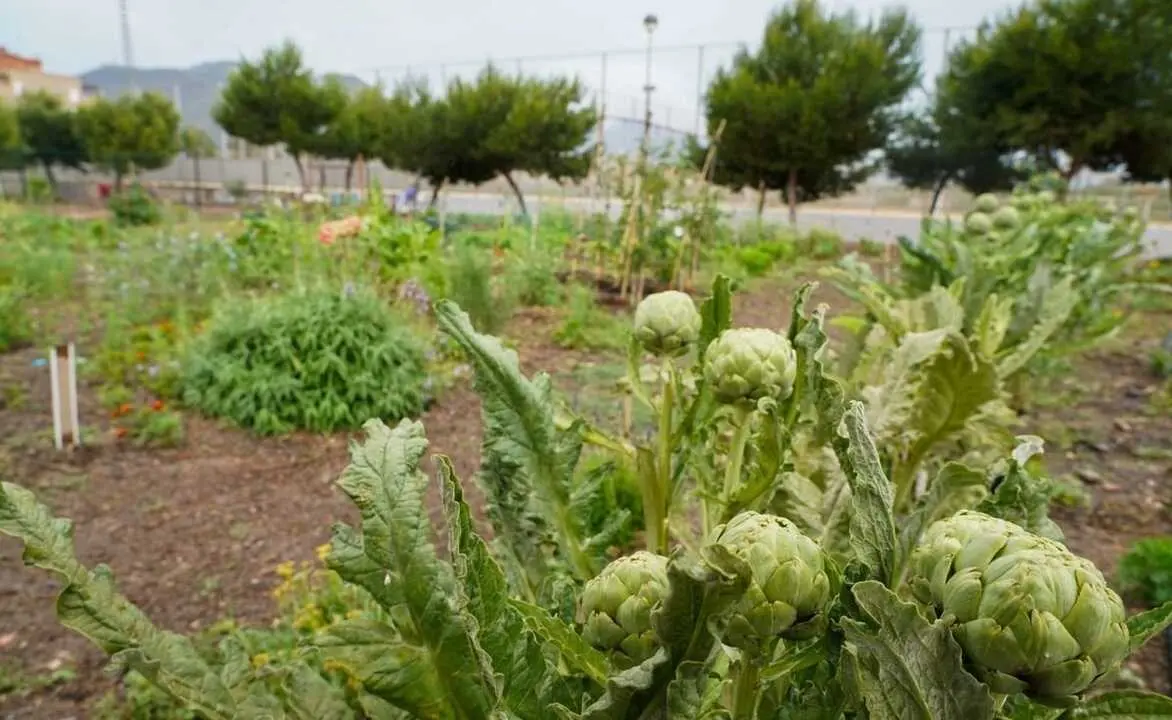 Los huertos urbanos mejoran bienestar, alimentaci&oacute;n y biodiversidad, incluso en viviendas sin terraza. / EP