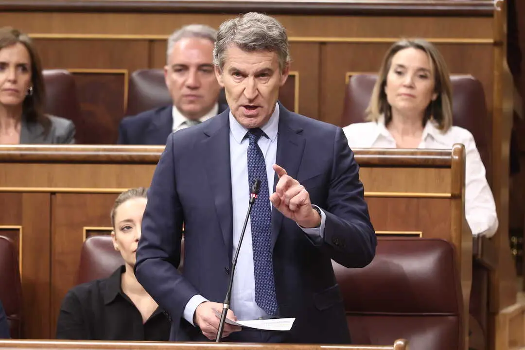 El presidente del Partido Popular, Alberto N&uacute;&ntilde;ez Feij&oacute;o. / EP