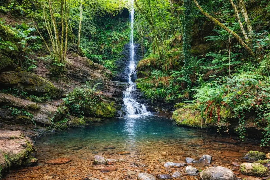Ese lugar es Lami&ntilde;a, uno de los rincones m&aacute;s naturales del Valle de Cabu&eacute;rniga. / A.E