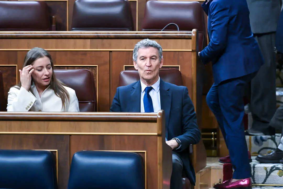 El presidente del Partido Popular, Alberto N&uacute;&ntilde;ez Feij&oacute;o. / EP