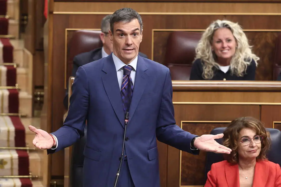 El presidente del Gobierno, Pedro S&aacute;nchez, interviene durante una sesi&oacute;n de control al Gobierno. / EP