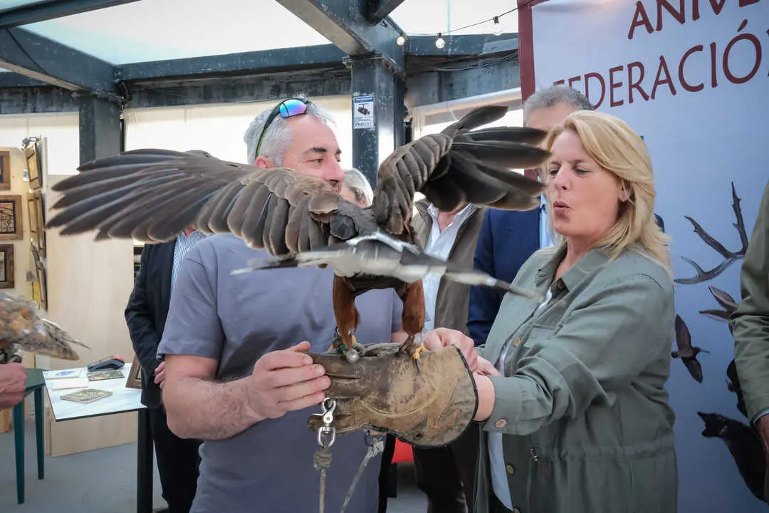 La consejera de Desarrollo Rural, Ganader&iacute;a, Pesca y Alimentaci&oacute;n, Mar&iacute;a Jes&uacute;s Susinos, participa en una exhibici&oacute;n de cetrer&iacute;a durante el acto conmemorativo del 40 aniversario de la Federaci&oacute;n C&aacute;ntabra de Caza, celebrado en el Hotel Milagros Golf de Mogro (Miengo). &copy; Ra&uacute;l Lucio | 11 de mayo de 2026.