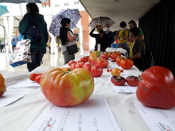 Feria del tomate antiguo Bezana