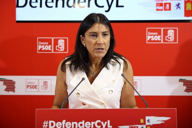 Archivo - Ana Sánchez durante la rueda de prensa en la sede del PSOE de Zamora. Archivo.