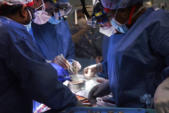 Foto de la Universidad de Maryland del equipo médico que ha efectuado el trasplante de corazón de cerdo en un humano. / AP