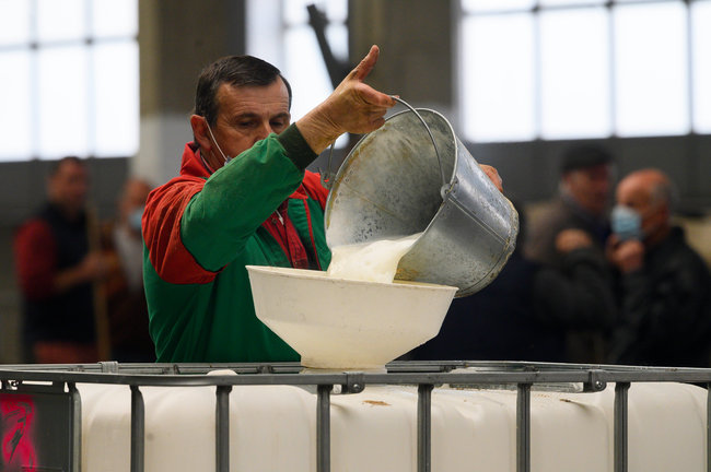 Un ganadero vierte la leche en el Mercado Nacional de Ganados de Torrelavega, este miércoles, que ha vuelto a su actividad tras parar por la huelga en el transporte. EFE/Pedro Puente Hoyos