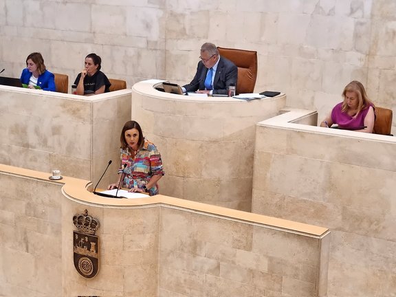 La diputada del PRC, Paula Fernández ayer en el Parlamento. / ALERTA