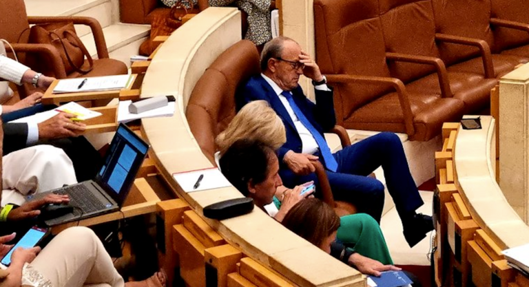 Parlamentarios del PRC durante la sesión de hoy.