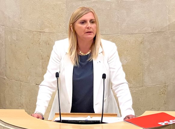La portavoz socialista en el Parlamento de Cantabria, Noelia Cobo.  / ALERTA