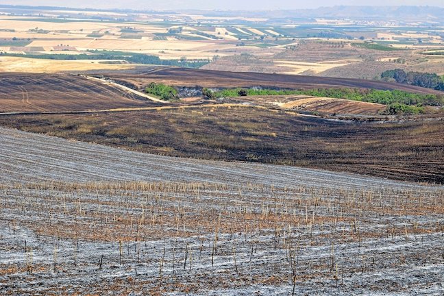 Imagen de archivo de varios campos de cultivo calcinados por un incendio en los alrededores de la localidad riojana de Villaverde de Rioja. EFE/ Raquel Manzanares
