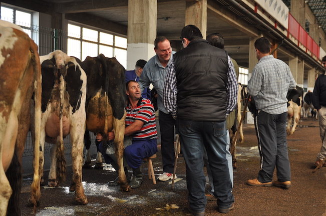 Varios comerciantes de ganado charlan en la Feria de Ganado de Torrelavega. / ALERTA