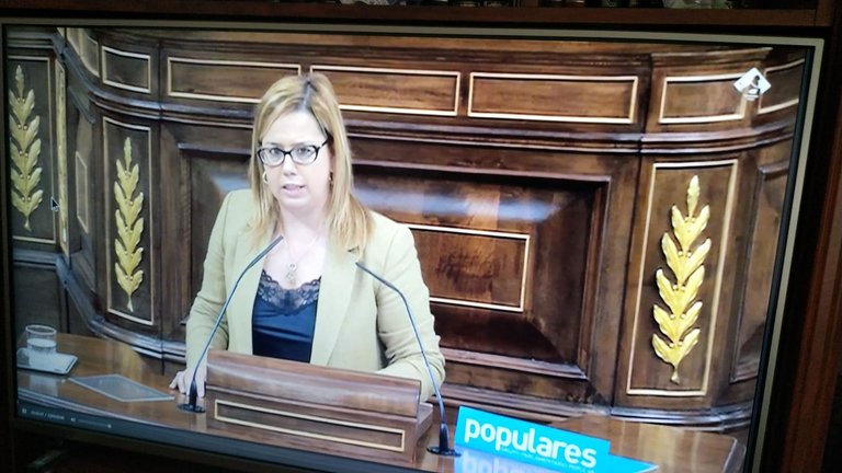 La diputada nacional del PP por Cantabria, Elena Castillo en el Parlamento de España.
