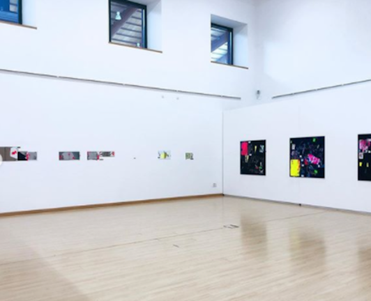 La exposición de Las artístas Marina Alonso y Rut Zabala en la sala ‘Concepción Arenal’. / ALERTA