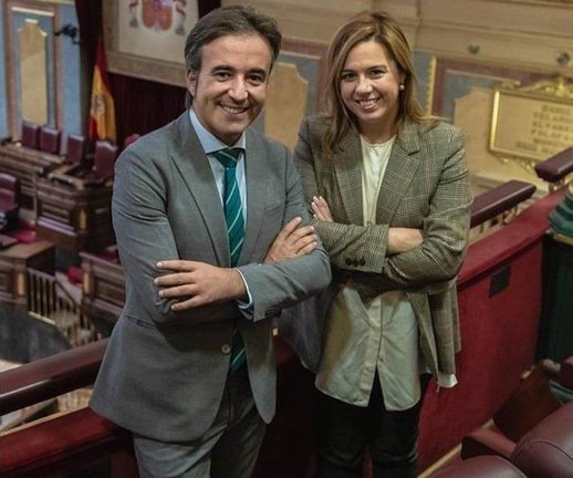 Los diputados del PP en el Congreso por Cantabria, Diego Movellán y Elena Castillo en el Congreso de los Diputados. / ALERTA