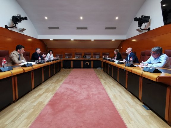 Álvarez en la reunión con representantes del CERMI, y la diputada Marta García. / ALERTA