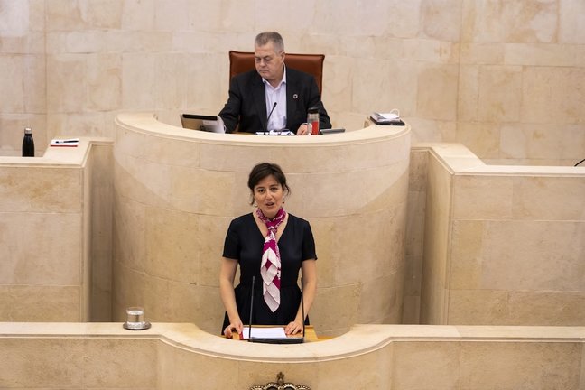 La Directora general de Salud Pública, Paloma Navas en el Parlamento de Cantabria.
