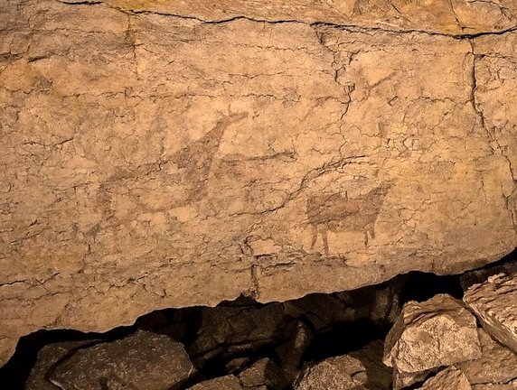 Cierva de la cueva de El Pendo / ALERTA – Archivo