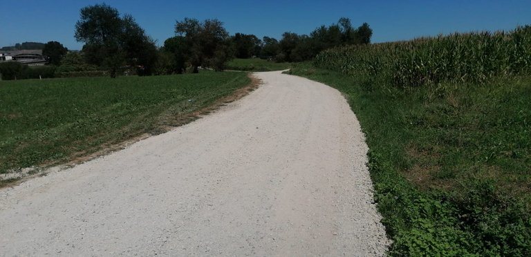 Caminos rurales de la Mies.